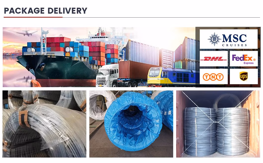 Factory Wholesale of Swrch18A, Swrch8a, Swrch22A 5.5-42mm Black/Bright SAE1020 1050 1060 High Carbon Annealed Iron Black Hot Rolled Steel Wire Rod in Coils